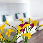 Tropicana , Suites&villas Mykonos Hotel Paradise Beach (Mykonos)